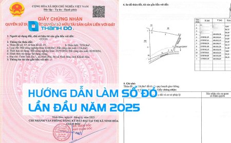 Thủ tục cấp giấy chứng nhận quyền sử dụng đất, quyền sở hữu tài sản gắn liền với đất lần đầu mới nhất năm 2025