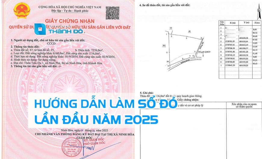 Thủ tục cấp giấy chứng nhận quyền sử dụng đất, quyền sở hữu tài sản gắn liền với đất lần đầu mới nhất năm 2025