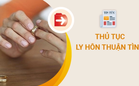 Hướng Dẫn Chi Tiết Thủ Tục Thuận Tình Ly Hôn 2025