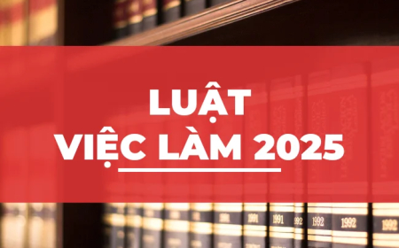 Luật việc làm 2025 mới nhất
