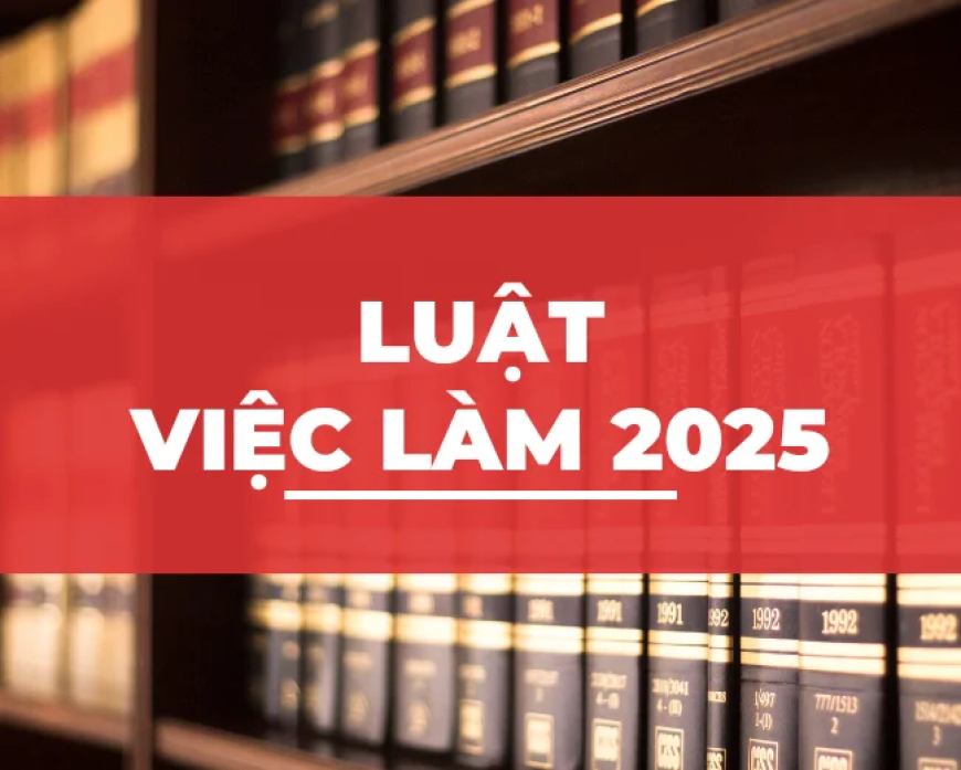 Luật việc làm 2025 mới nhất